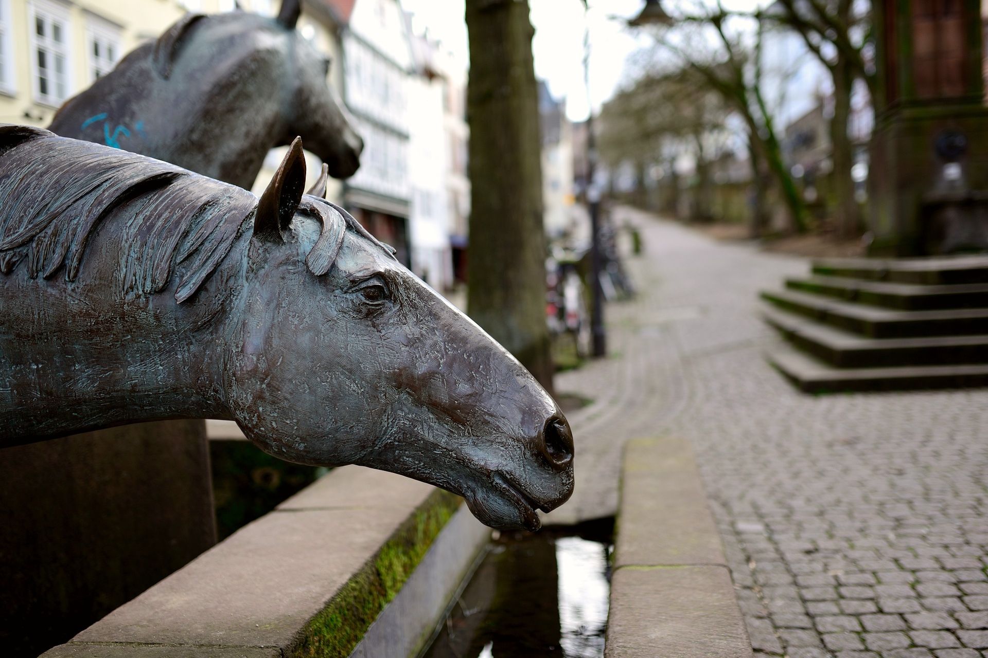 Foto: Pferdebrunnen in Marburg (Stadt)