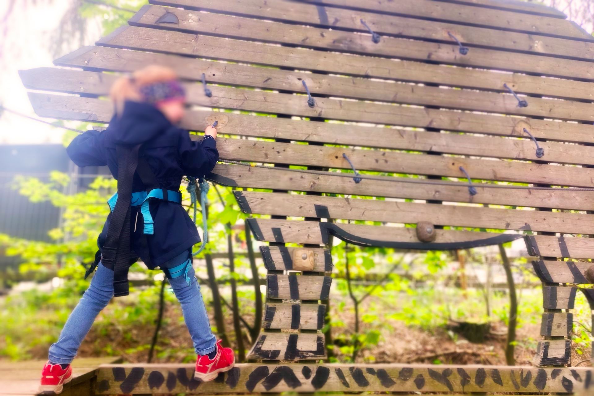 Foto: Kletterwald in Winterberg