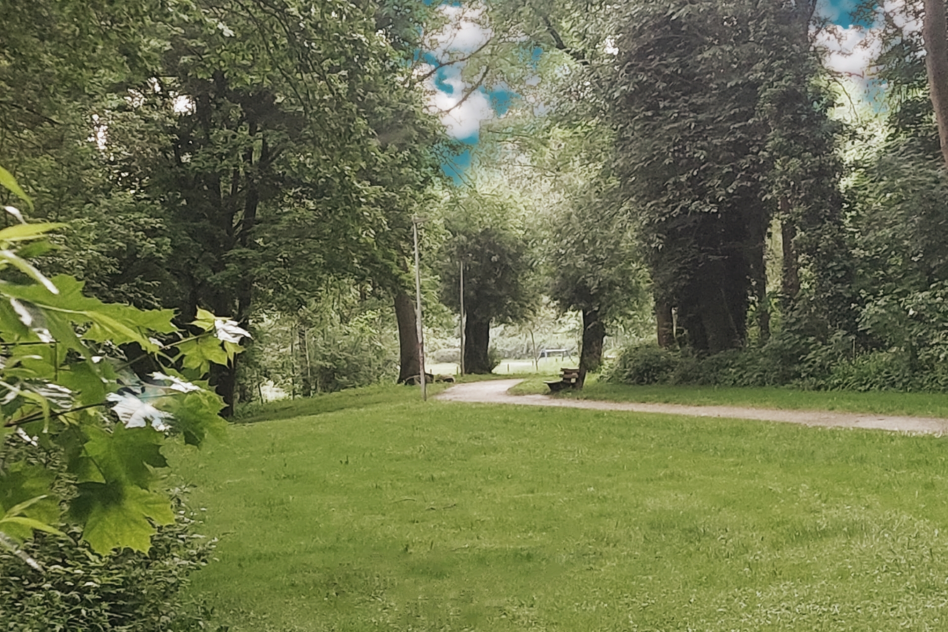 Foto: Stadtpark Teichwiese in Wolfhagen