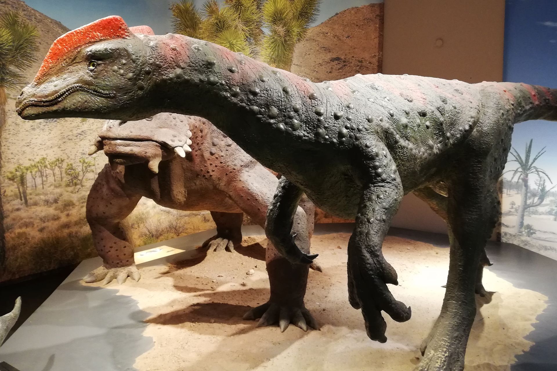 Foto: Naturkundemuseum in Kassel-Mitte